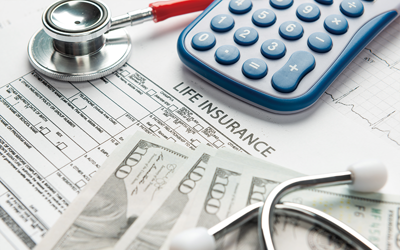 가입 보험 상품 한눈에 보기